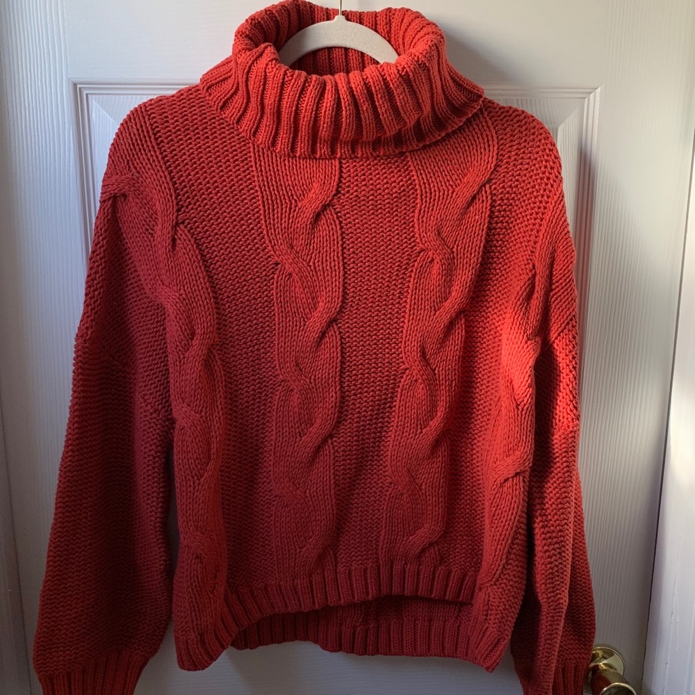 Turtleneck Sweater NWOT